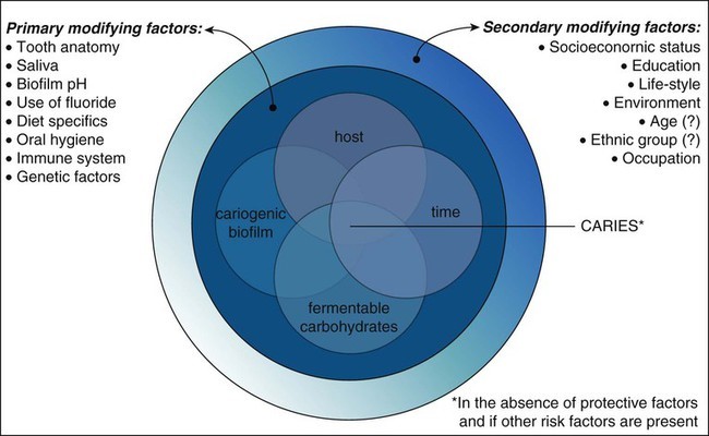 Prevent Dental Decay | Endodontics Kidlington